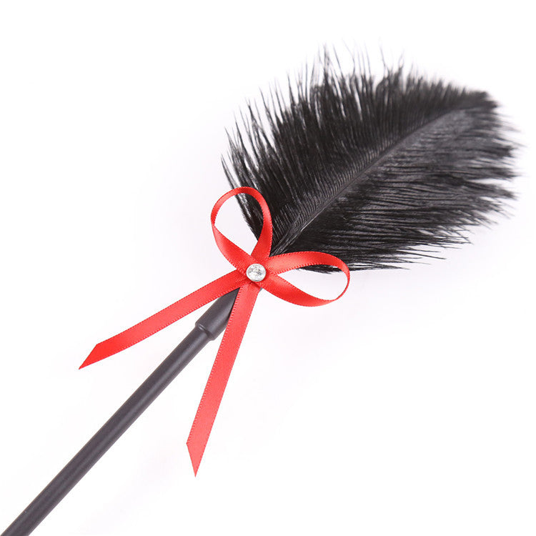 2 en 1 Pluma Cosquillosa y Paleta para Azotes